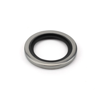 Gasket BS-BS 1